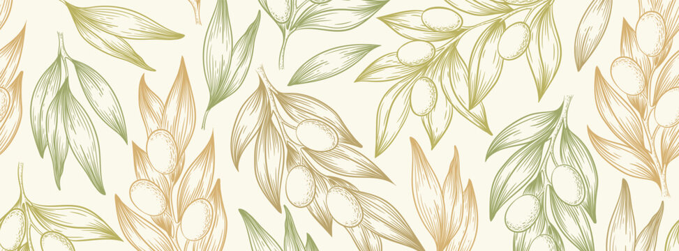 Vector illustration with hand drawn olive branches pattern in  nature colors isolated on light background. Botanical design for web banner,  print, card, textile, beauty and cosmetic products
