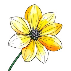 watercolor flower illustration