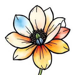 watercolor flower illustration