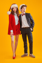 Fototapeta premium glamorous xmas couple