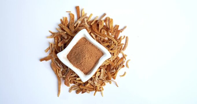 Ayurvedic Potent herb musli - also known as Safed Moosli or Swetha Musli in powder and Raw form
