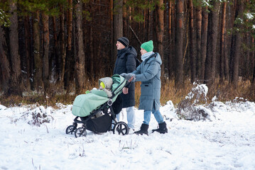 A family is walking in a winter park, a teenage boy is pushing a baby stroller, his dad is walking next to him.