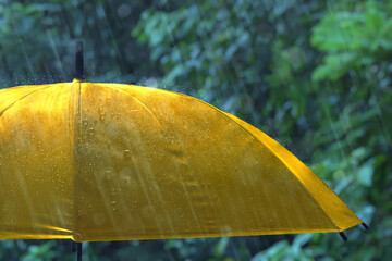 Closeup of yellow umbrella in the rain