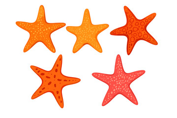 Group of vibrant orange and red sea stars showcasing diverse textures and patterns