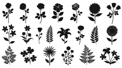 Collection of various black flower and leaf silhouettes isolated on a white background