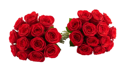 Two Bouquets of Red Roses, isolated on transparent background