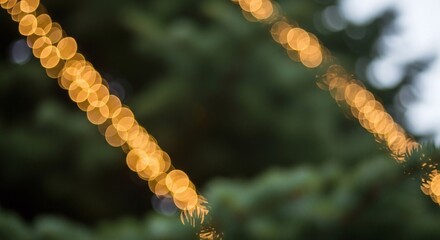 Blurred golden lights creating a bokeh effect, strung diagonally against a soft focus dark green background, evoking a festive and warm atmosphere perfect for holiday designs and abstract backgrounds