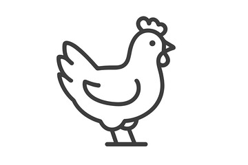 Simple outline drawing of a farm chicken standing sideways on a white background