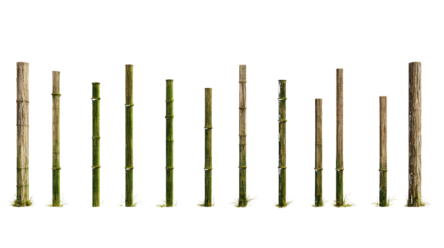 Assortment of Bamboo Stalks green brown isolated on a transparent background