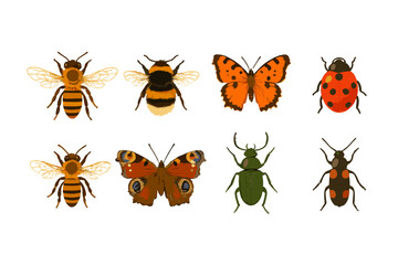 Detailed assortment of eight common insects including honeybees, butterflies, and beetles