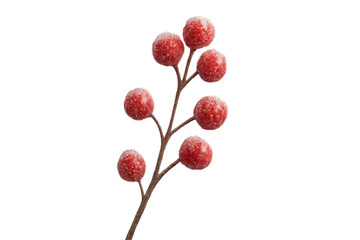 Artificial red frosted berries on a branch create a festive Christmas decoration with a sugary texture, perfect for seasonal holiday designs and winter-themed concepts