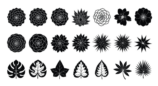 Vector botanical illustration set of flowers and leaves design