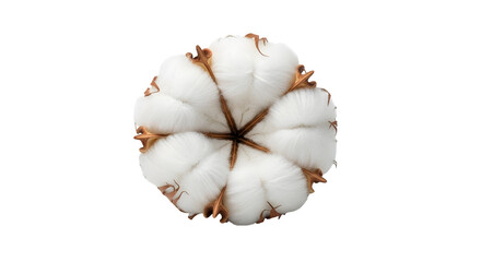 ERROR, isolated on transparent background