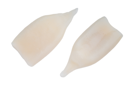 Fresh raw squid fillets calamari mantle seafood on a clean white background ideal for cooking photography and gourmet recipe content
