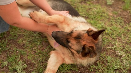 German Shepherd waiting for fetch, Yellow ball on ground, Loving owner close, Warm day outdoors, Eager pet attitude, Dog tongue out in heat, Connection with pet, Relaxing break after play, Nature