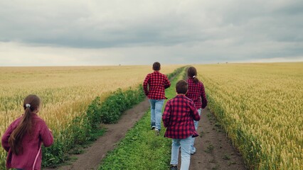 agriculture, children running for boys and girls, Wheat field exploration, playful group of teens, kids running together, boys and girls outdoors, team adventure in countryside, friends enjoying