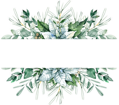Delicate watercolor divider with white poinsettia, eucalyptus, pine and winter foliage. Perfect for invitations, stationery, greeting cards and elegant Christmas or winter themed layouts.