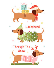 Merry Christmas Dachshund Through The Snow Design. Preppy Xmas Dachshund Dog Illustration. Tis The Season Sausage Dog. Festive Animal Meme Shirt Print.