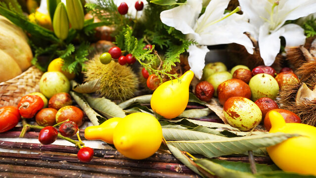 Colorful Thanksgiving centerpiece featuring chrysanthemums, gourds, and autumn fruits