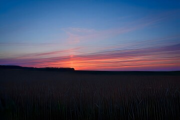 Obraz premium Dramatic Sunset Over Field - Serene Landscape