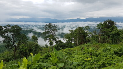 Breathtaking panoramic view of a lush green mountain range with misty valleys and dense tropical forest under a cloudy sky