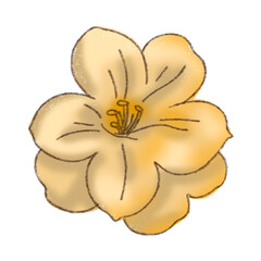 Pattern flowers,daisy , Watercolor Floral Seamless Pattern
Soft Watercolor Botanical Background