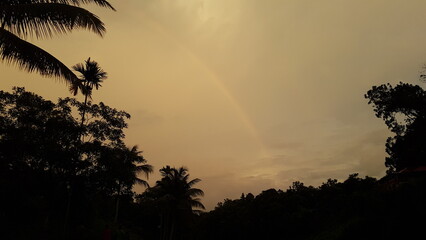 Naklejka premium Subtle Rainbow Arching Over Silhouetted Tropical Trees Against a Dramatic Evening Sky After Rain