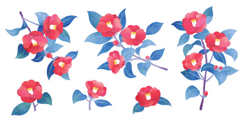 Fototapeta premium 手描き水彩風 椿の花 イラストセット 