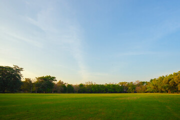 Wide green grass field with clear blue sky in the evening sunlight, perfect natural landscape background for design, relaxation, nature concept, and environmental themes.