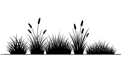 Vector silhouette of wild reeds and grass blades isolated on a white background