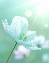 ミントグリーンとペールアクアの淡い光が重なり、清涼感のある柔らかな雰囲気を生み出す背景です。
パステル調の光が滑らかに広がり、涼しげなボケが透明感のある世界観をつくります。