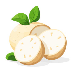 Icon clipart set, Minimalistic 2D flat icon featuring a sliced_jicama isolated on a white background, an element in vector and EPS format