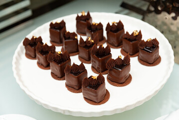 Elegant chocolate dessert selection. A collection of exquisite chocolate desserts beautifully arranged on a white plate.