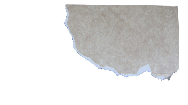A corner cutout of torn smooth gray paper, an empty plate with copy space. Transparent cutout in PNG format.