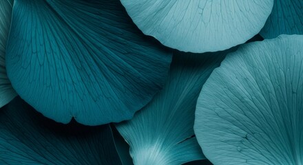 Close up macro view of teal flower petals. Gradient color background for abstract nature concept. Soft flora texture design, color of 2026.