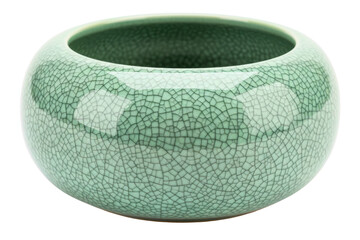 Green ceramic bowl with decorative crackle glaze pattern on a transparent background