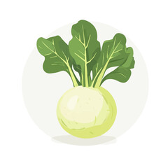 An Imaginary 2D flat icon_whole_kohlrabi, modern element in vector and EPS format_clean vector_isolated on a white background