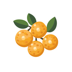 An Imaginary 2D flat icon_whole_longan, modern element in vector and EPS format_clean vector_isolated on a white background