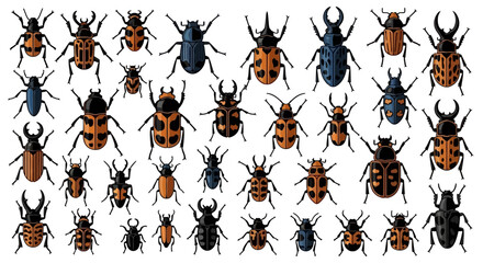 A comprehensive and vibrant vector collection of various beetle and insect species, featuring diverse shapes, colors, and intricate patterns, perfect for educational materials or nature-themed designs