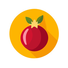 Imaginary 2D flat icon_whole_pomegranate, modern element in vector and EPS format_clean vector_isolated on a white background