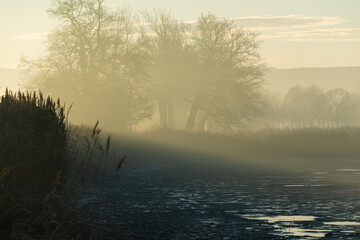 Jesienny krajobraz spowity delikatną mgłą o świcie. Miękkie, pastelowe światło poranka podkreśla jesienne barwy i tworzy spokojną, nastrojową scenerię. © Elżbieta Kaps