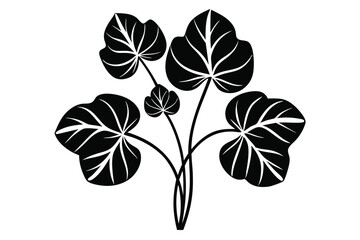 Black silhouette shows distinctive botanical art with symmetrical leaf venation pattern displayed clearly on white © pipp99