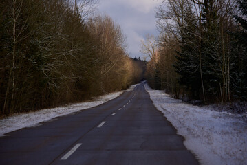 winter road in the forest