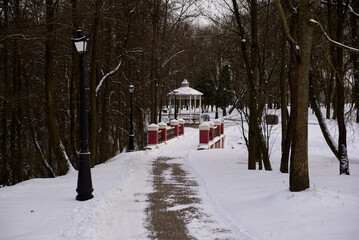 winter in the park
