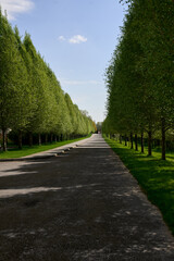 road in the park