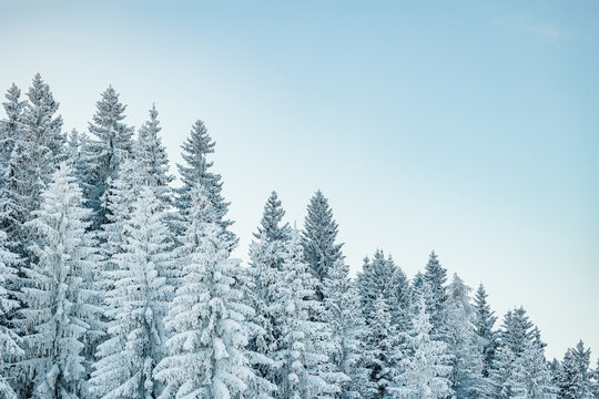 winterbeginn