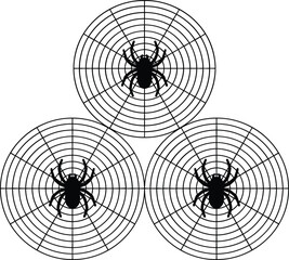 Obraz premium Spider, web, Halloween, arachnid, creepy, insect, nature, symmetrical, black, scary, spooky, wildlife, predator, silk, geometry, pattern, horror, decoration, isolated, background