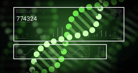 Displaying stylized DNA helix rotating on laboratory data screen, with HUD panels waveform 774324