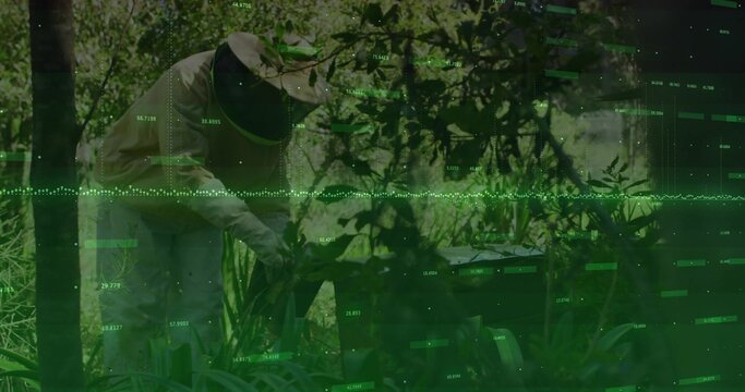 Leaning beekeeper inspecting hive box in garden, wearing beekeeping suit and veiled hat, green HUD - Powered by Adobe