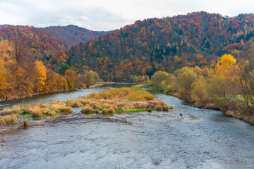 Obraz premium Dunajec, Tylmanowa, Poland, Gorce. Autumn river landscape with colorful forested hills and calm water scene